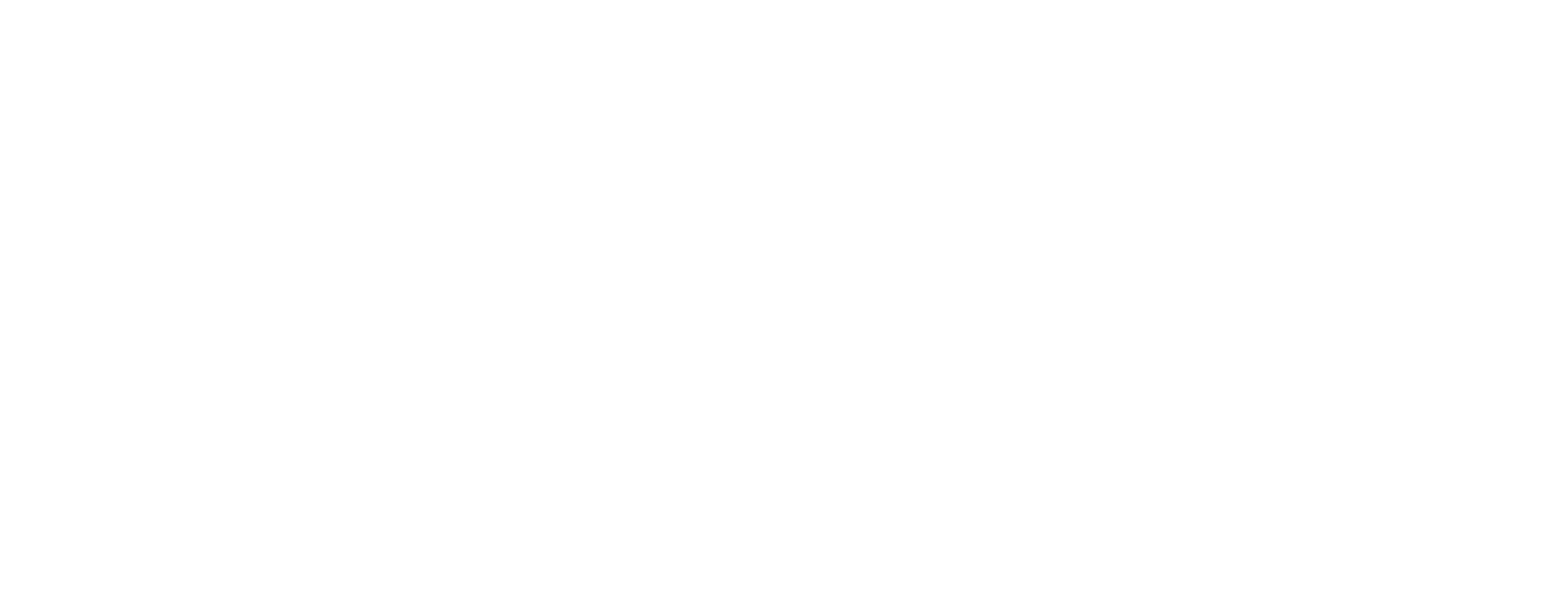 Steel Warriors